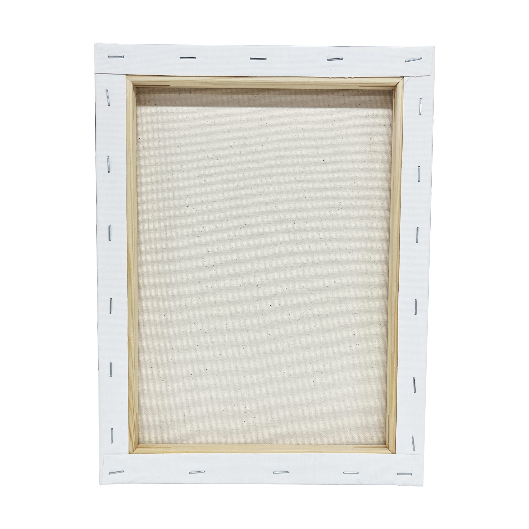 8 Pack 9" x 12" Super Value Canvas by Artist's Loft®